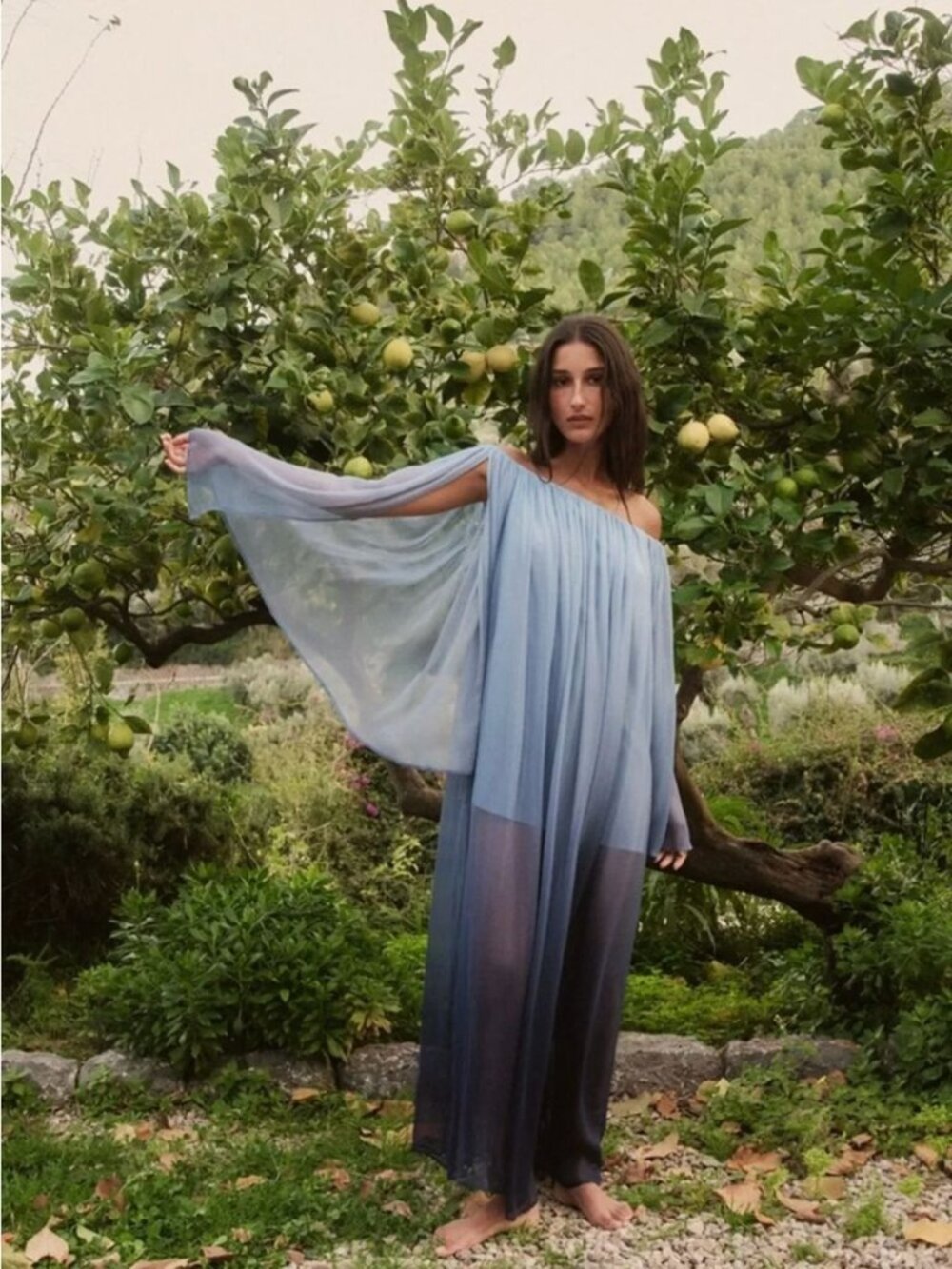 Caroline Constas Corinthia Sheer Off The Shoulder Ombre Maxi Dress Blue Size Sma